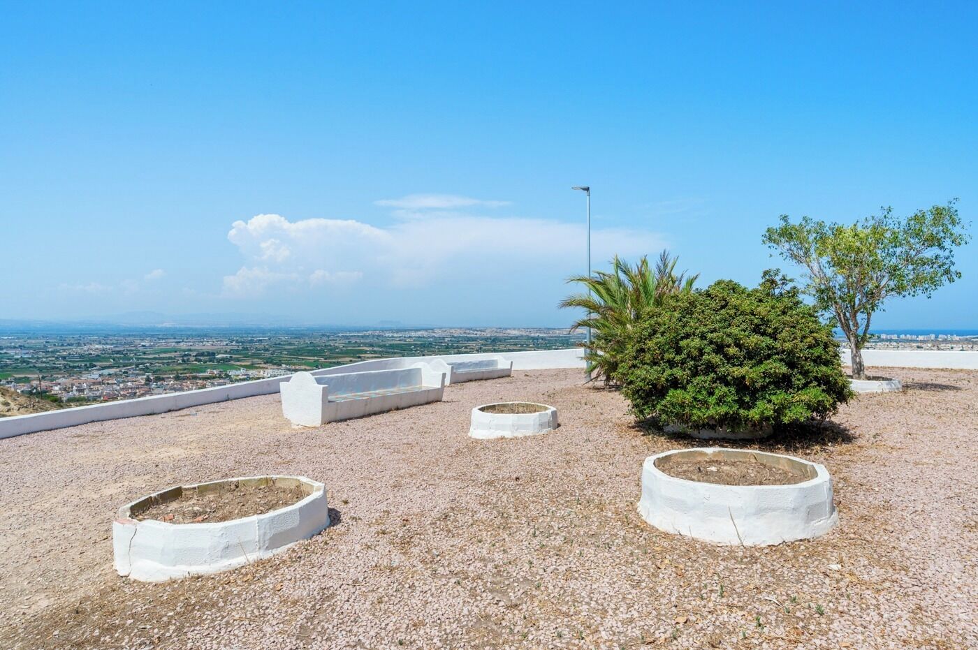 Una terraza en la azotea con macetas blancas, un pequeño árbol y una vista despejada del horizonte urbano.