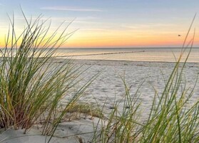 Vista desde la propiedad