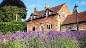 A traditional brick house with a red-tiled roof, surrounded by a field of purple flowers. - New Elms Farmhouse (Derby)
