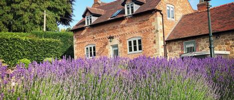 ChaumiÚre | Extérieur