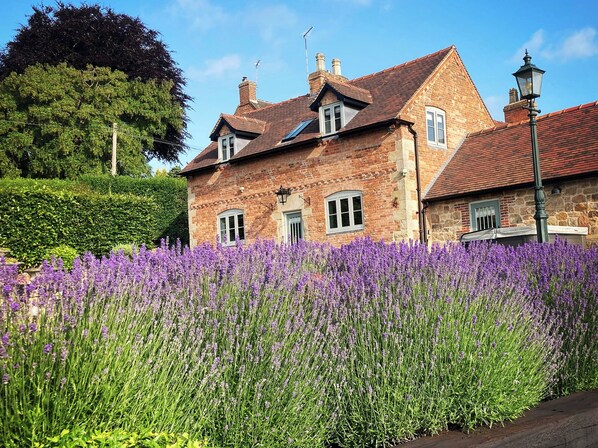 Cottage | Extérieur