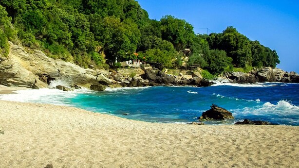 A beach with clear blue water, sandy shore, and a forested hillside.