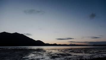 Nära stranden