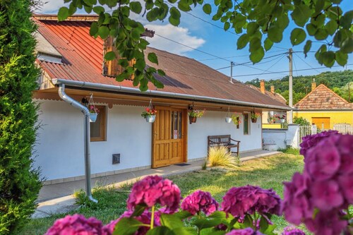 A piece of peace - In the Bükk Mountain