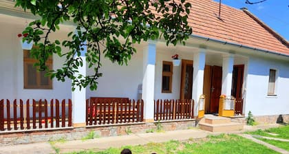 A piece of peace - In the Bükk Mountain