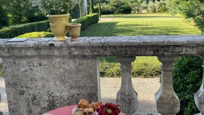 Una mesa con pasteles y café, una planta en maceta, y vistas a un jardín y campo de golf cuidados.
