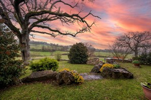 Un paysage rural avec un grand arbre, un mur de pierres et un champ d’herbe.