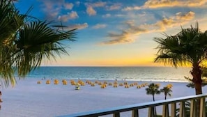 Beach - Cozy, pool view one bdrm. community fitness room and pickleball courts. (Largo)