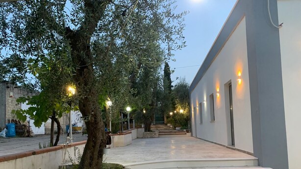 A courtyard with a tree, steps leading to a building, and outdoor lighting.