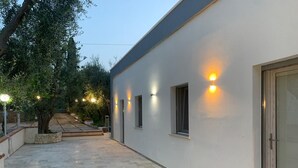 A modern building with a flat roof, a paved courtyard, and a tree.