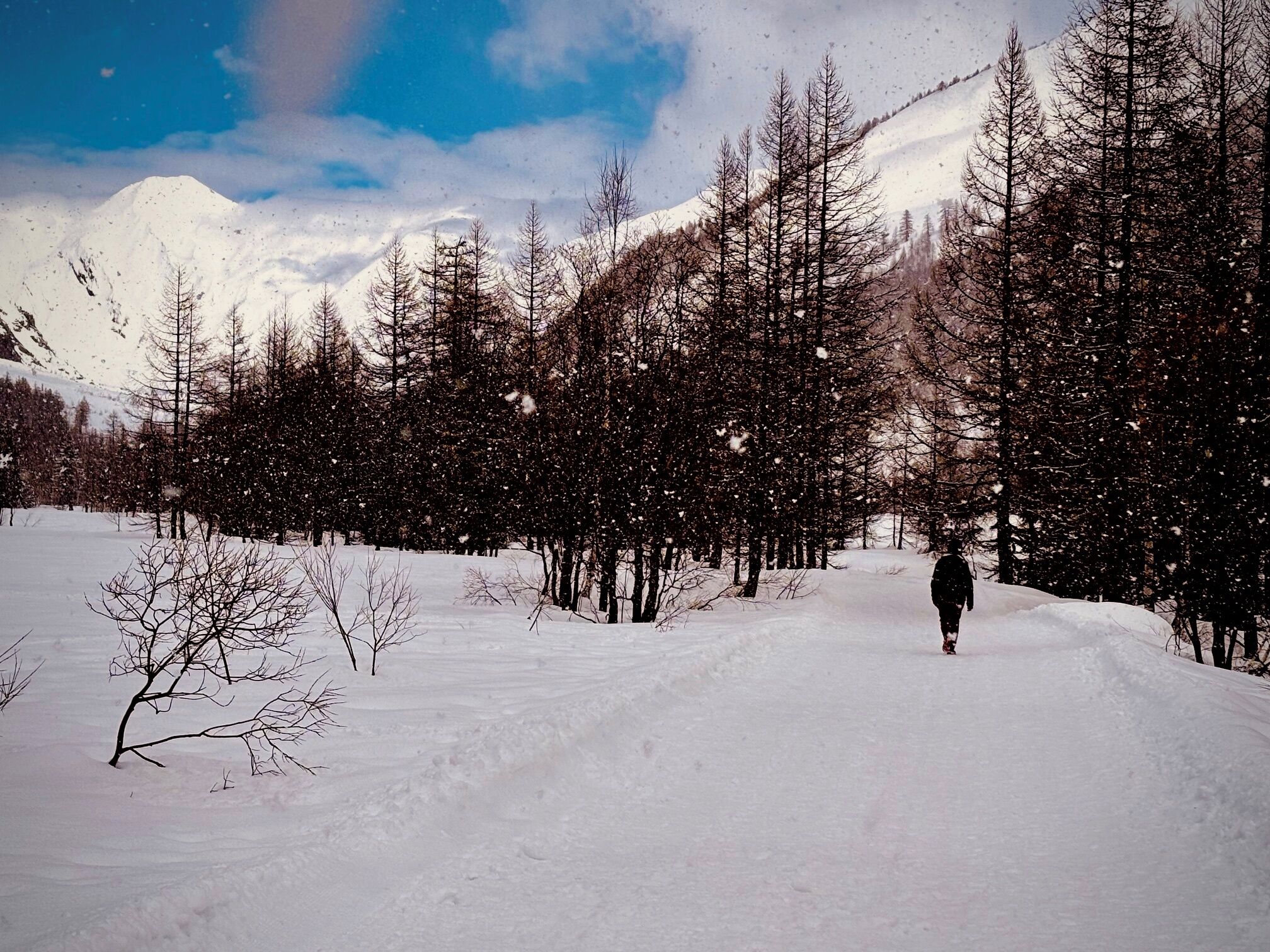 Snow and ski sports