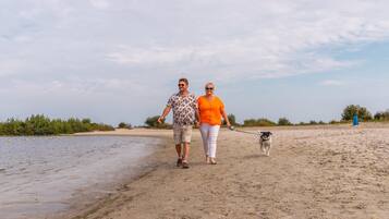 A sandy beach with two people walking a dog.
