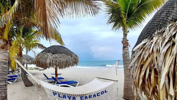 A hammock labeled "PLAYA CARACOL" on a sandy beach with palm trees and a thatched umbrella.