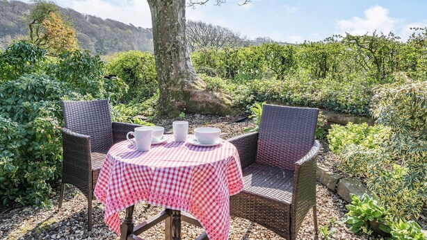 An outdoor seating area with wicker chairs and a table covered by a checkered tablecloth, surrounded by greenery and a tree. - Pant Y Cwtsh (Kidwelly)