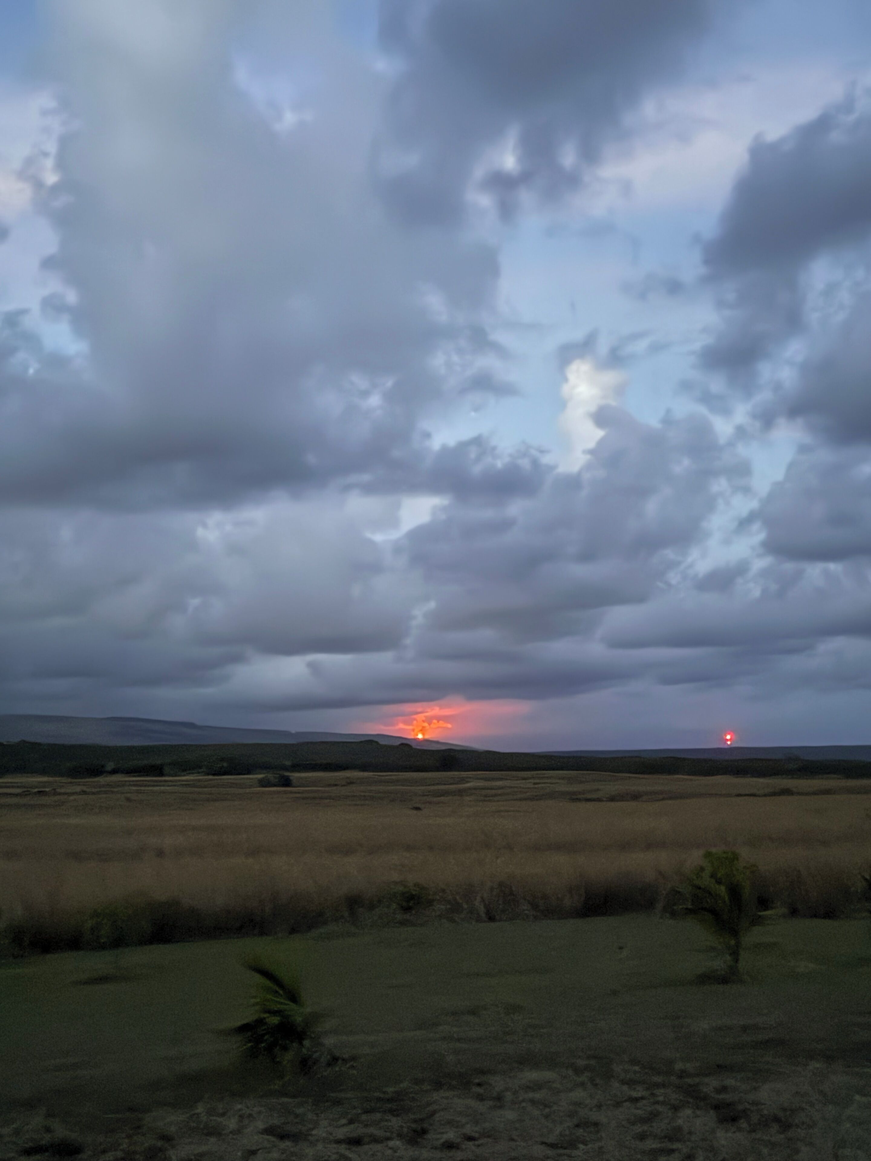 Paisaje llano con un atardecer distante y algunos árboles dispersos.