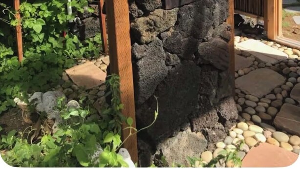 المنطقة المحيطة بالمنشأة