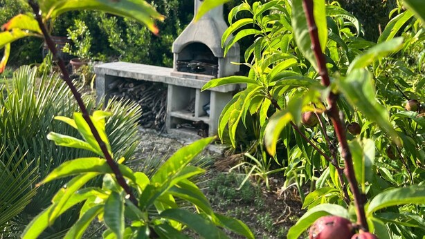 A stone barbecue grill surrounded by lush greenery and a mountainous backdrop. - Villa Eden 2' Sea + Free Parking (Sardegna)