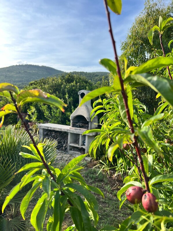 Property grounds - Villa Eden 2' Sea + Free Parking (Sardegna)