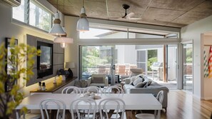 Smart TV, fireplace, books