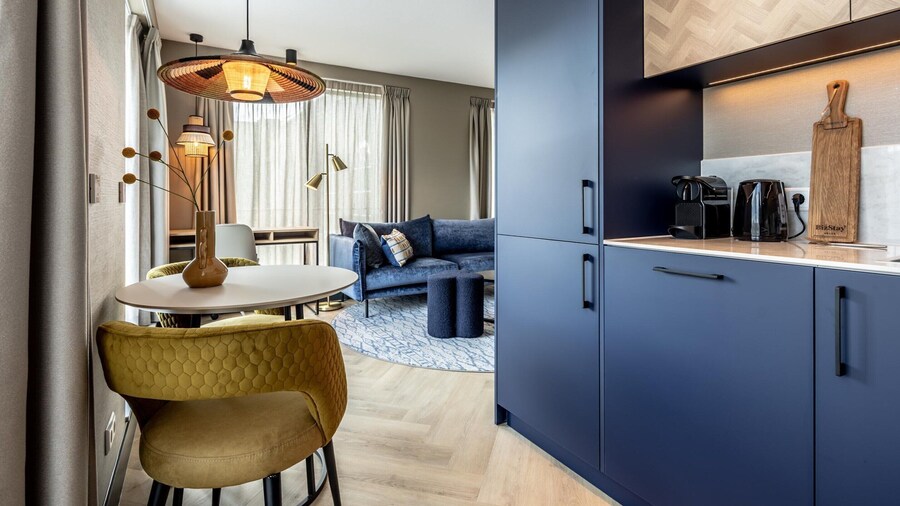 Spacious One-room Apartment in Delft