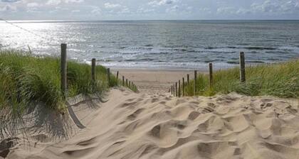 Spacious One-room Apartment in Delft