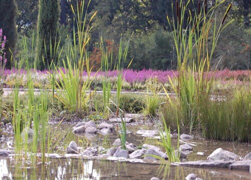 Moderne Wohnung mit Terrasse