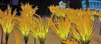 Dasheng Chinese Inn (Wusong Island Scenic Area)