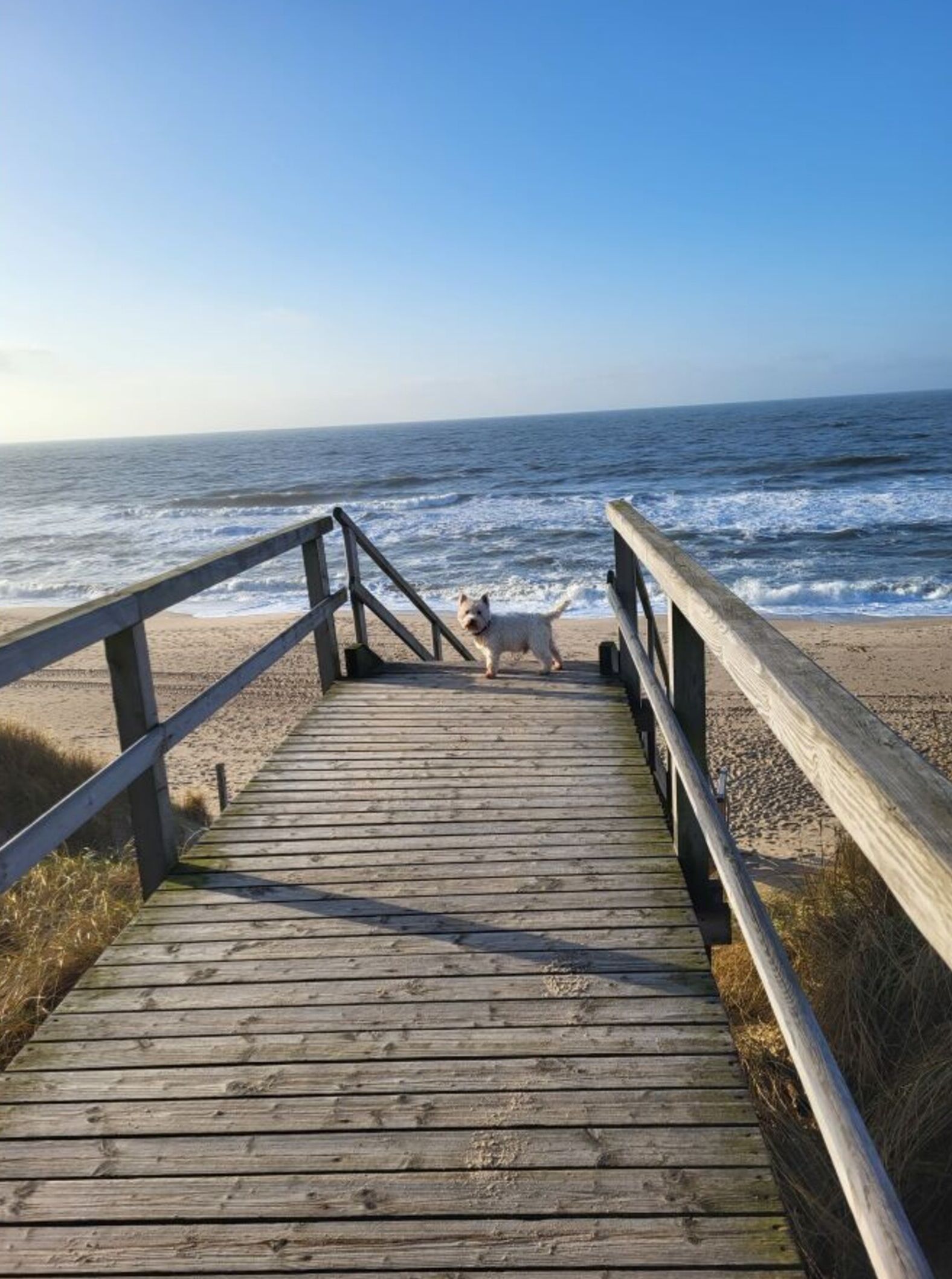 House | Beach
