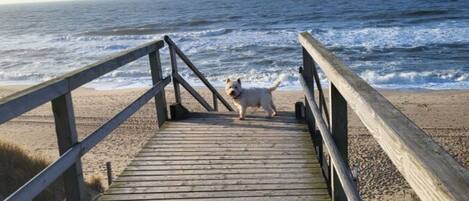 Maison | Plage