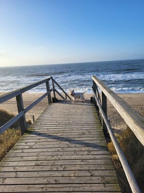 單棟房屋 | 海灘