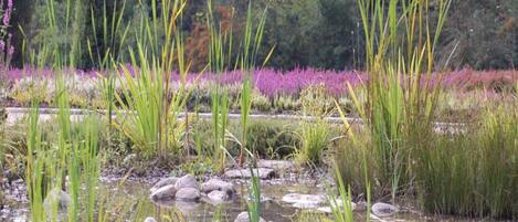 Vue depuis l’hébergement