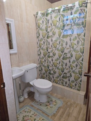 Hair dryer, towels, soap, toilet paper - HISTORIC MONOR.  Charming 2-bedroom house with WiFi, AC in delightful Bridgetown (Bridgetown)