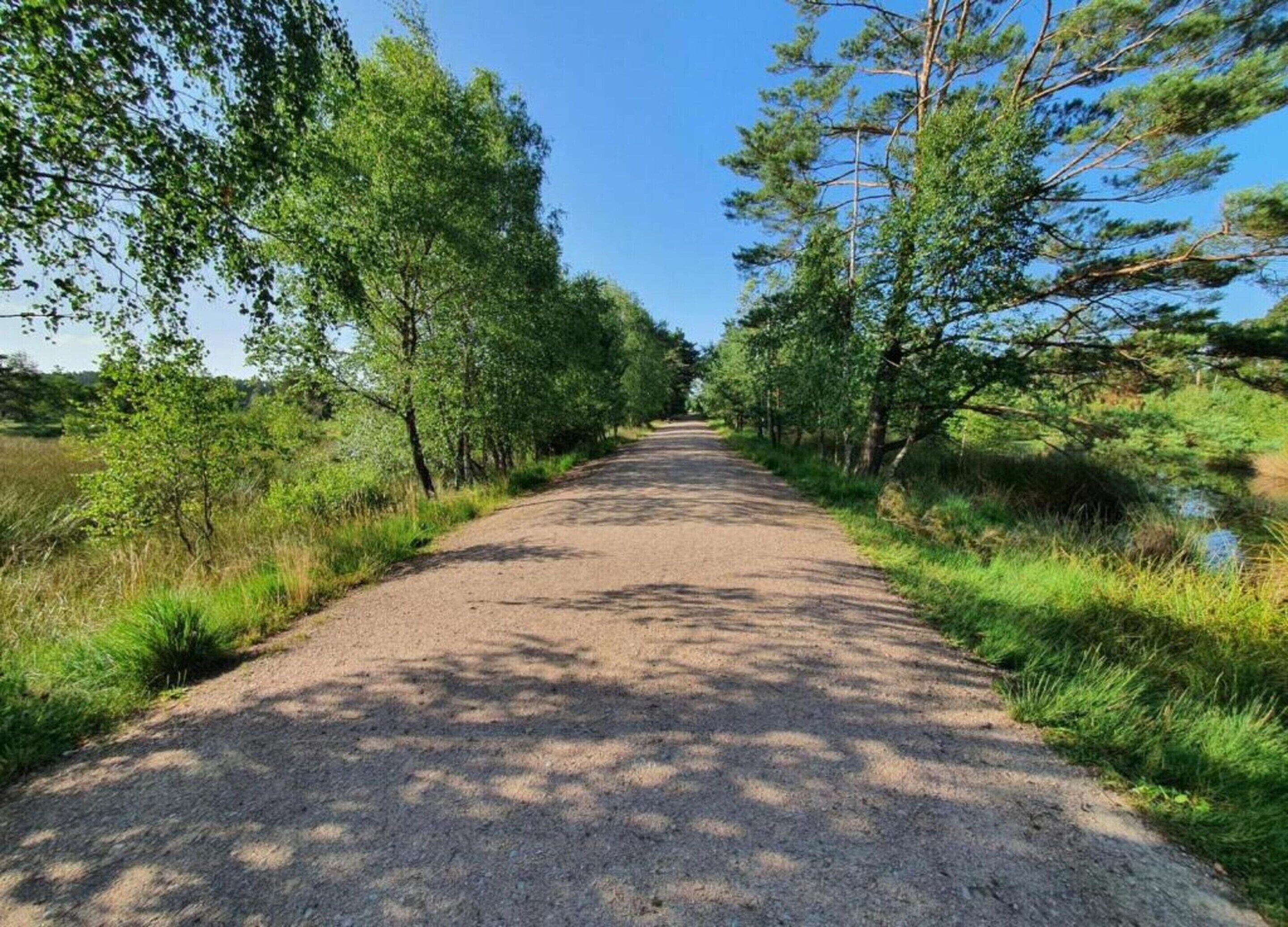 Un sentier dallé, bordé d’arbres et d’herbe, qui mène à un paysage naturel.