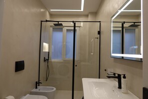 Shower, hair dryer, bidet, towels