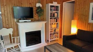 Télévision, cheminée, lecteur de DVD, livres