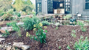 Una casa moderna con la puerta principal abierta, una cocina visible al fondo y un jardín con diversas plantas y un pequeño estanque.
