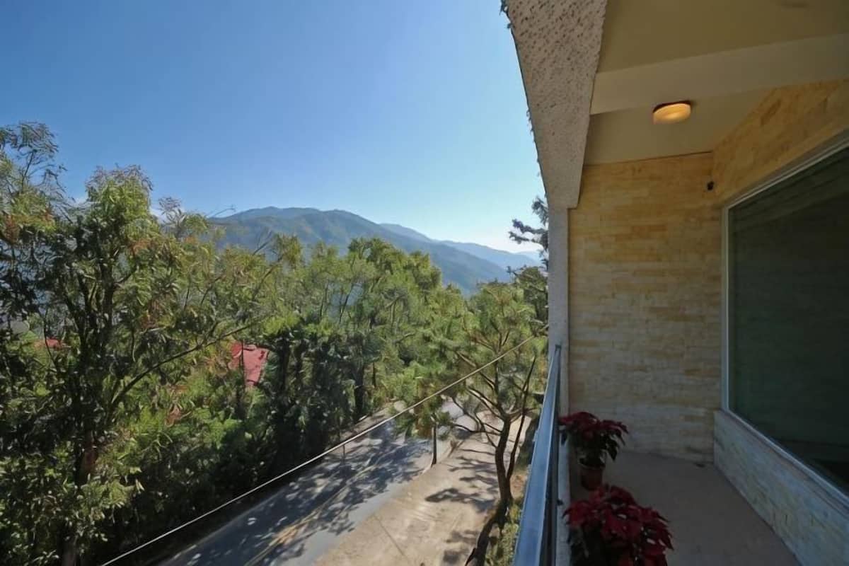 A balcony with a view of trees and mountains, a window, and a potted plant.