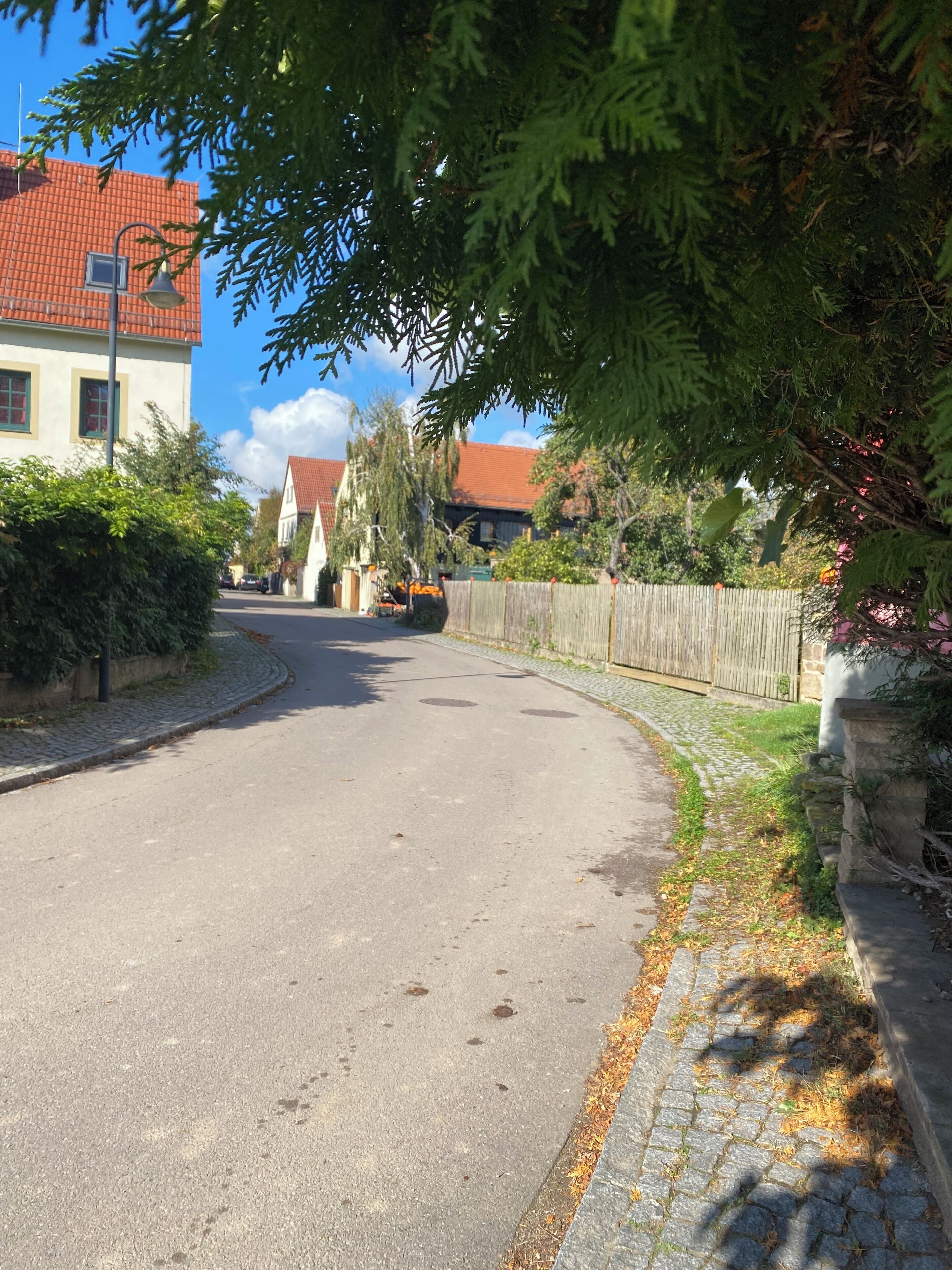 Eine ruhige Wohnstraße mit Häusern an beiden Seiten, einem Kopfsteinpflasterweg und einem Holzzaun.