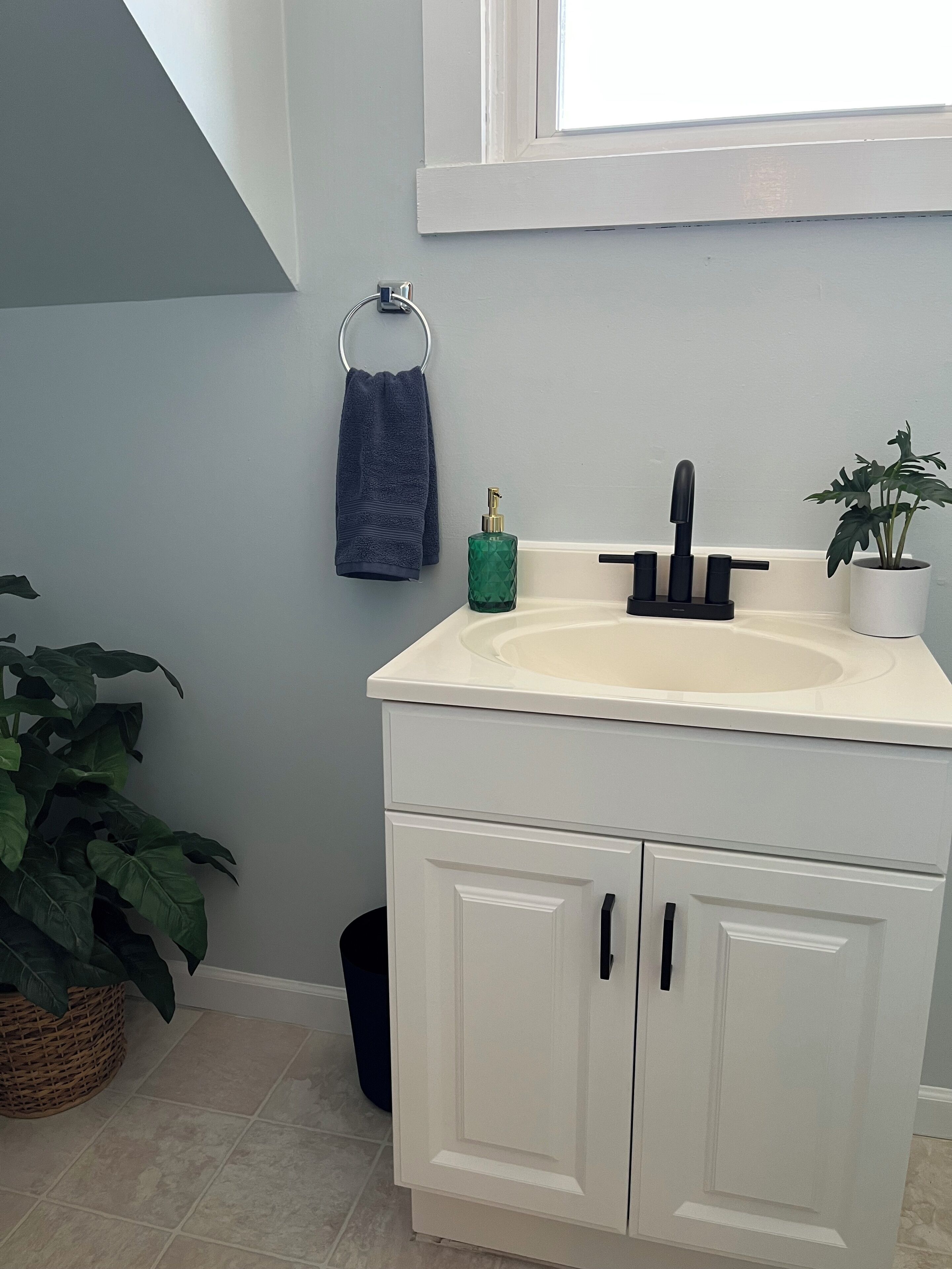 Une salle de bain avec un lavabo blanc, un porte-serviettes avec une serviette bleue, un distributeur de savon vert, une plante en pot et une poubelle.