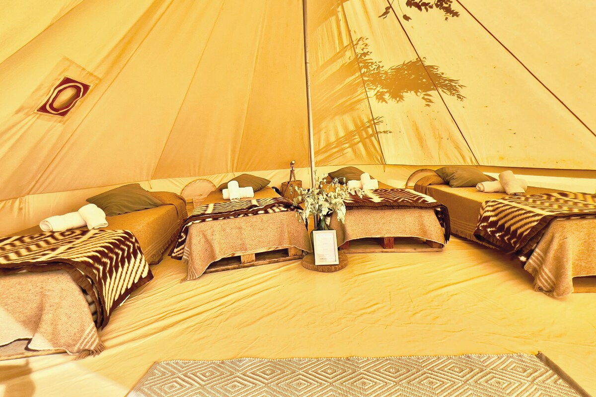 A tent with three beds, each with a pillow and a blanket. There is a vase with flowers in the center.