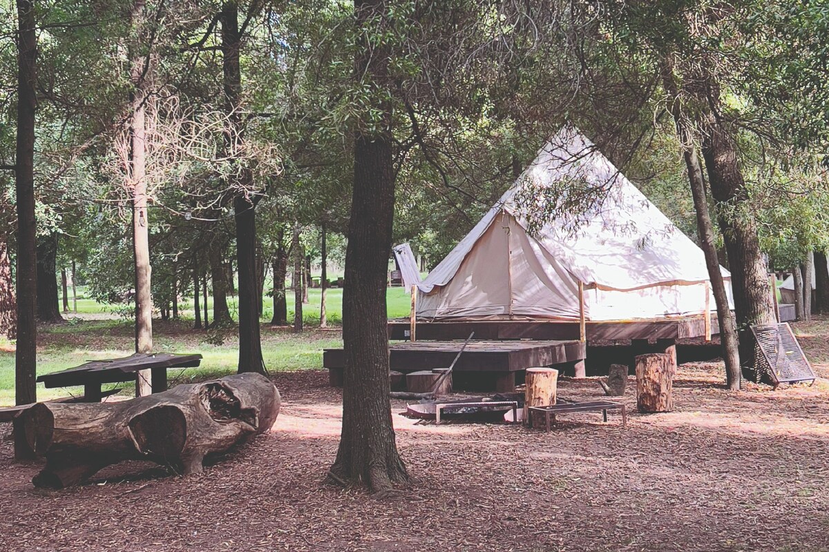 A tent set up in a wooded area with a picnic table and firewood nearby.
