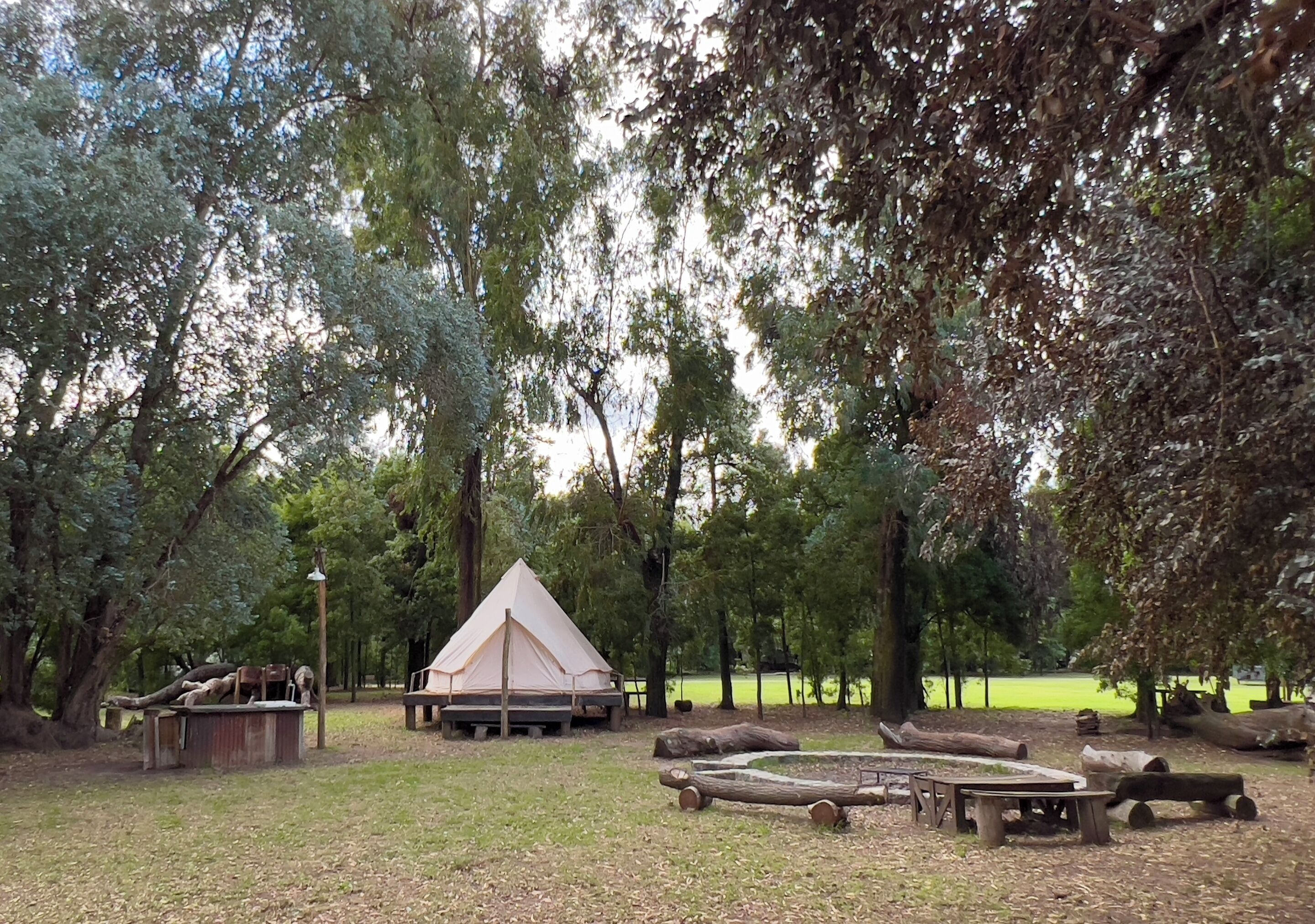 Ein Campingplatz mit Zelten, einem Picknicktisch und Baumstämmen.