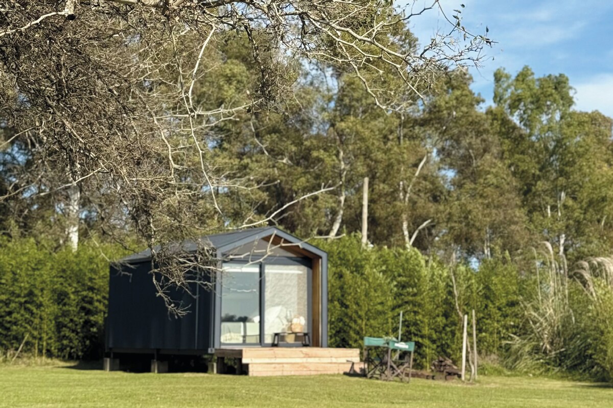 A small, modern cabin with a glass front, surrounded by a grassy field and dense trees.