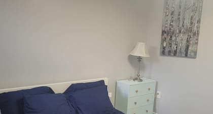 1 Bed 1 Bath basement Apartment walking distance to major Go station