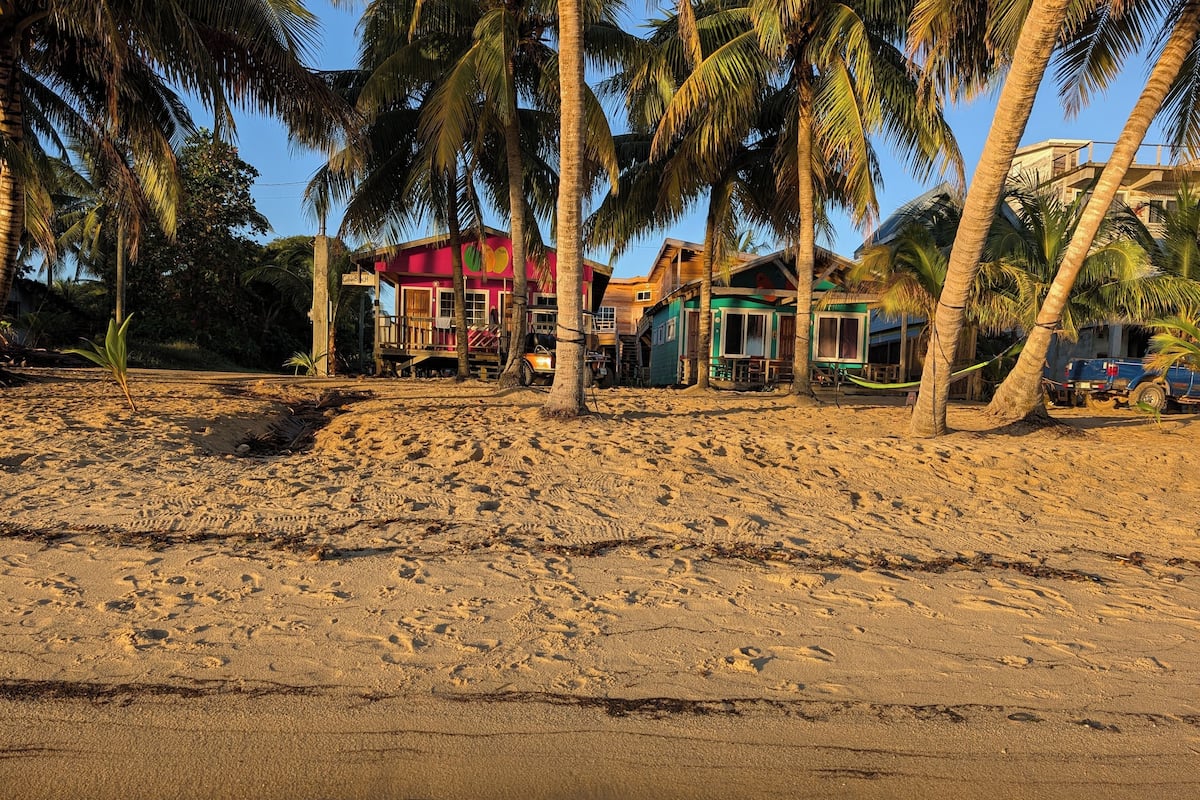 A beachside property with multiple buildings, including a prominent red structure and a green one, surrounded by palm trees.