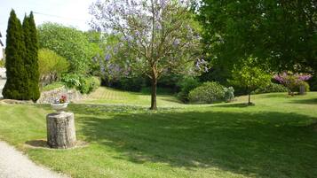 Àrea exterior de l'allotjament