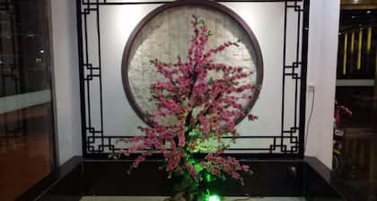 Tianyou Holiday Hotel (Wuyuan High Speed Railway Station)