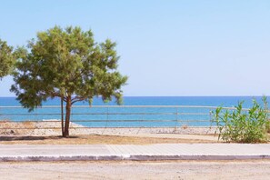 Une zone côtière avec un arbre, une promenade pavée et une rambarde donnant sur la mer.
