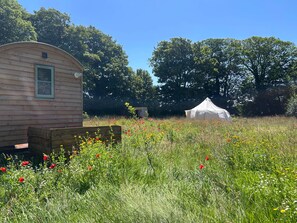 Property grounds - Beautiful Bell Tent Stay (Cowbridge)