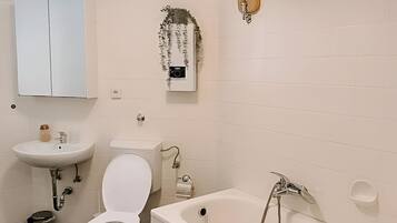 Hair dryer, towels, soap, toilet paper